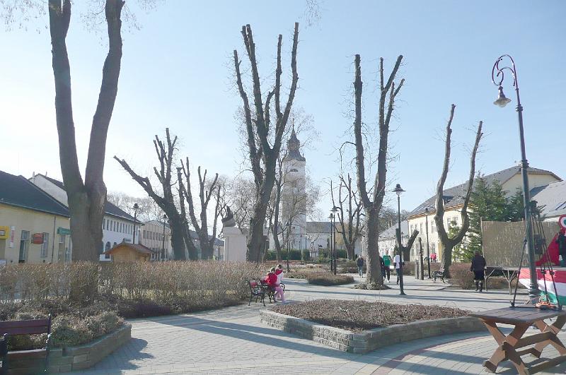 20120315 009.jpg